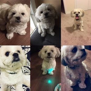 Meet your Posher, Sheli